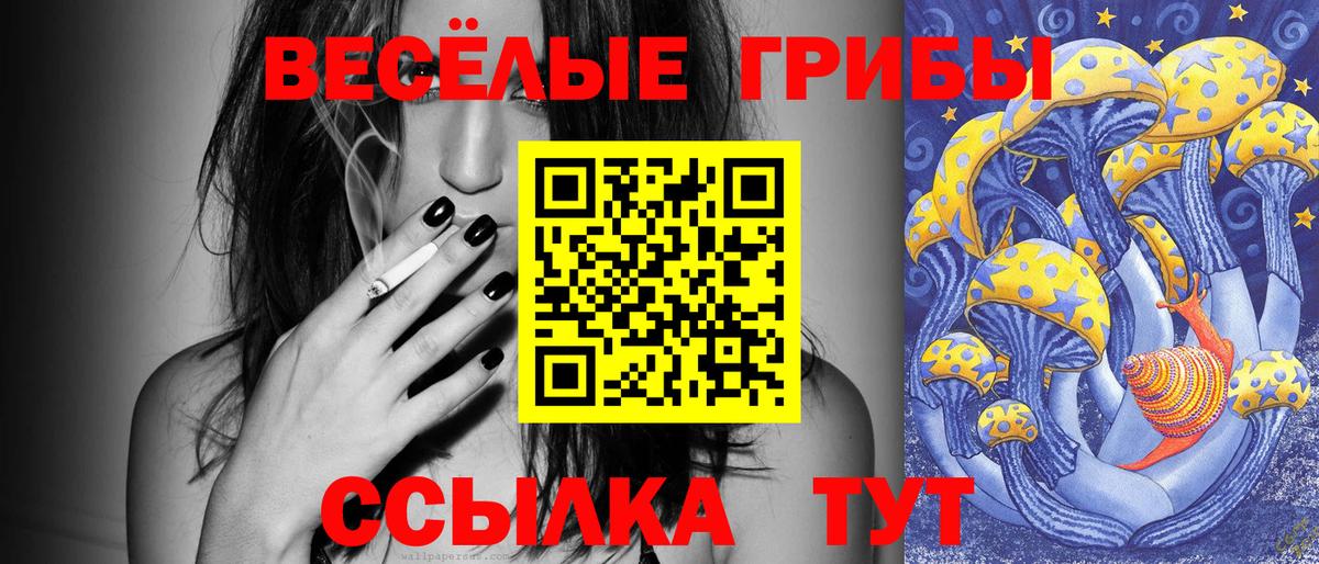 Серпухов  Псилоцибиновые грибы прущие грибы  Вход с VPN 